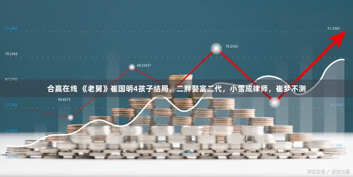 合赢在线 《老舅》崔国明4孩子结局，二胖娶富二代，小雪成律师，崔梦不测