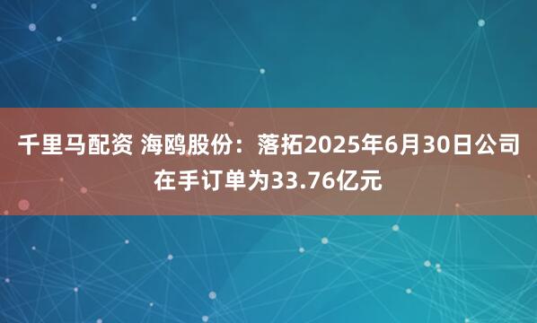 千里马配资 海鸥股份：落拓2025年6月30日公司在手订单为33.76亿元
