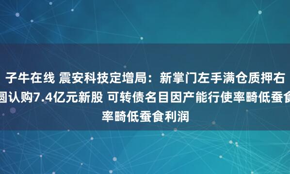 子牛在线 震安科技定增局：新掌门左手满仓质押右手包圆认购7.4亿元新股 可转债名目因产能行使率畸低蚕食利润