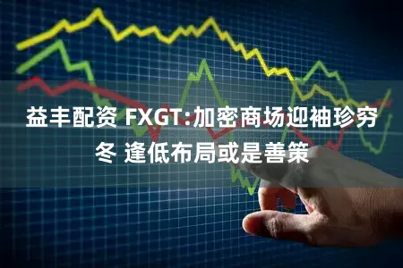 益丰配资 FXGT:加密商场迎袖珍穷冬 逢低布局或是善策