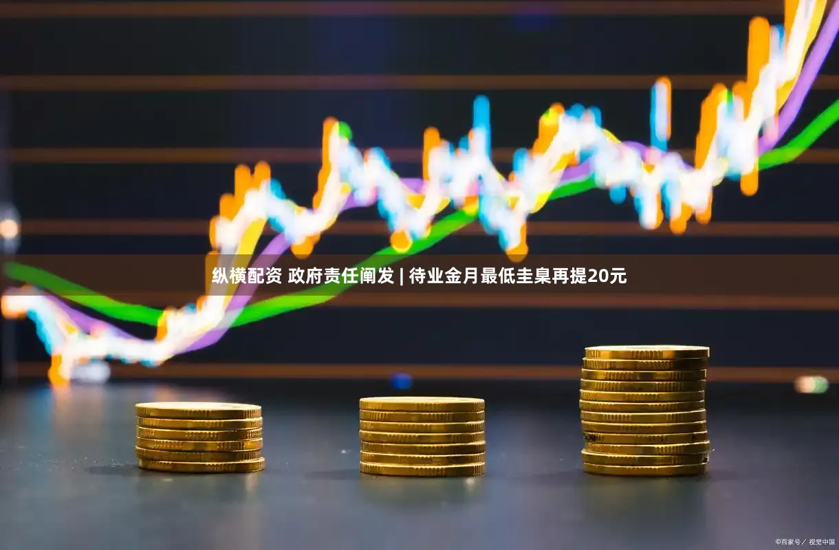纵横配资 政府责任阐发 | 待业金月最低圭臬再提20元