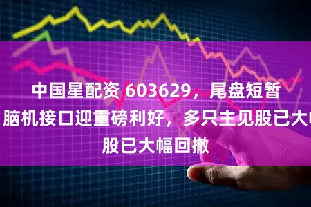 中国星配资 603629，尾盘短暂涨停！脑机接口迎重磅利好，多只主见股已大幅回撤
