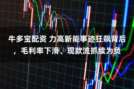 牛多宝配资 力高新能事迹狂飙背后，毛利率下滑、现款流抓续为负