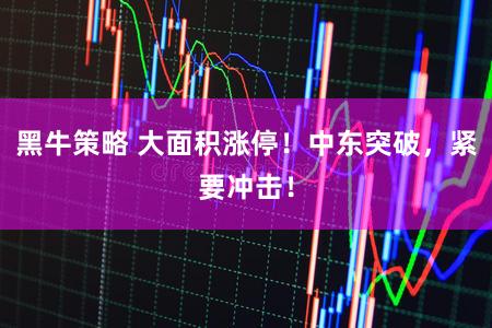 黑牛策略 大面积涨停！中东突破，紧要冲击！