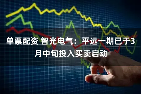 单票配资 智光电气：平远一期已于3月中旬投入买卖启动