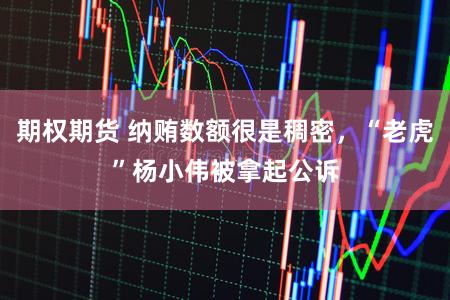 期权期货 纳贿数额很是稠密，“老虎”杨小伟被拿起公诉