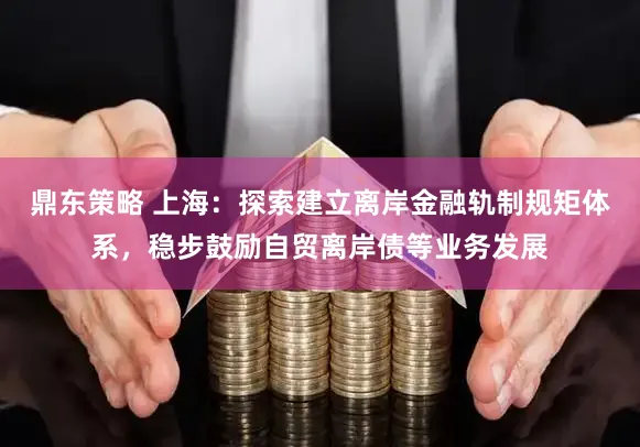 鼎东策略 上海：探索建立离岸金融轨制规矩体系，稳步鼓励自贸离岸债等业务发展